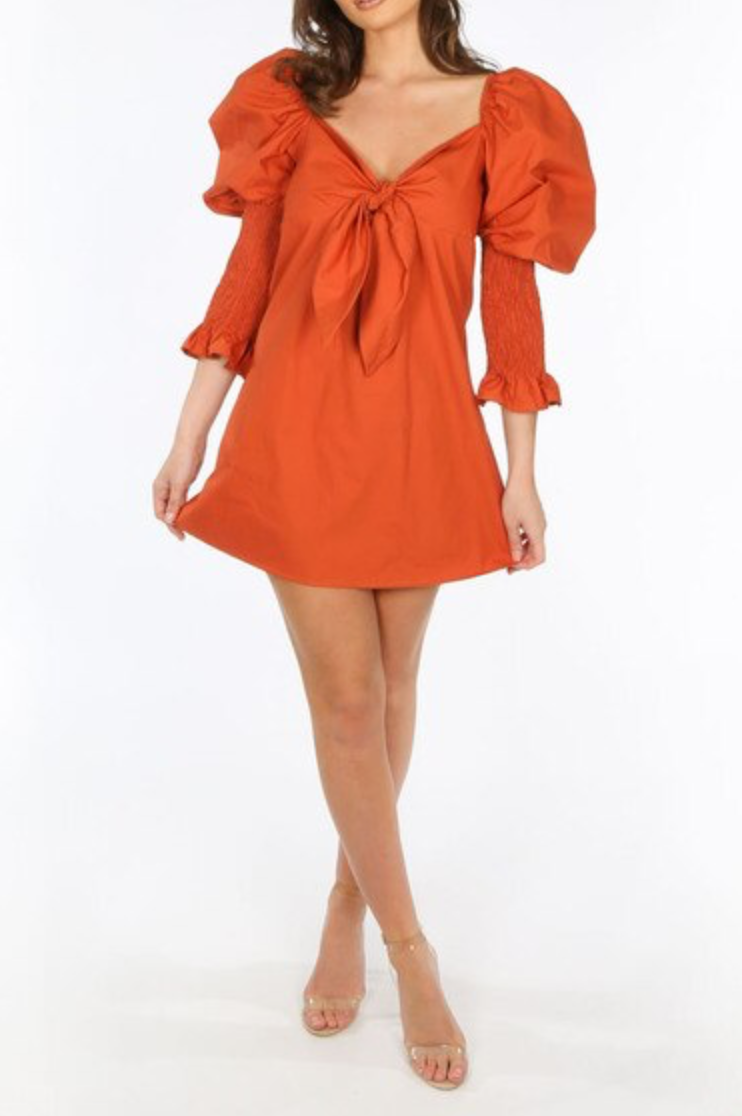 Styled Clothing Rust Puff Shoulder Summer Dress